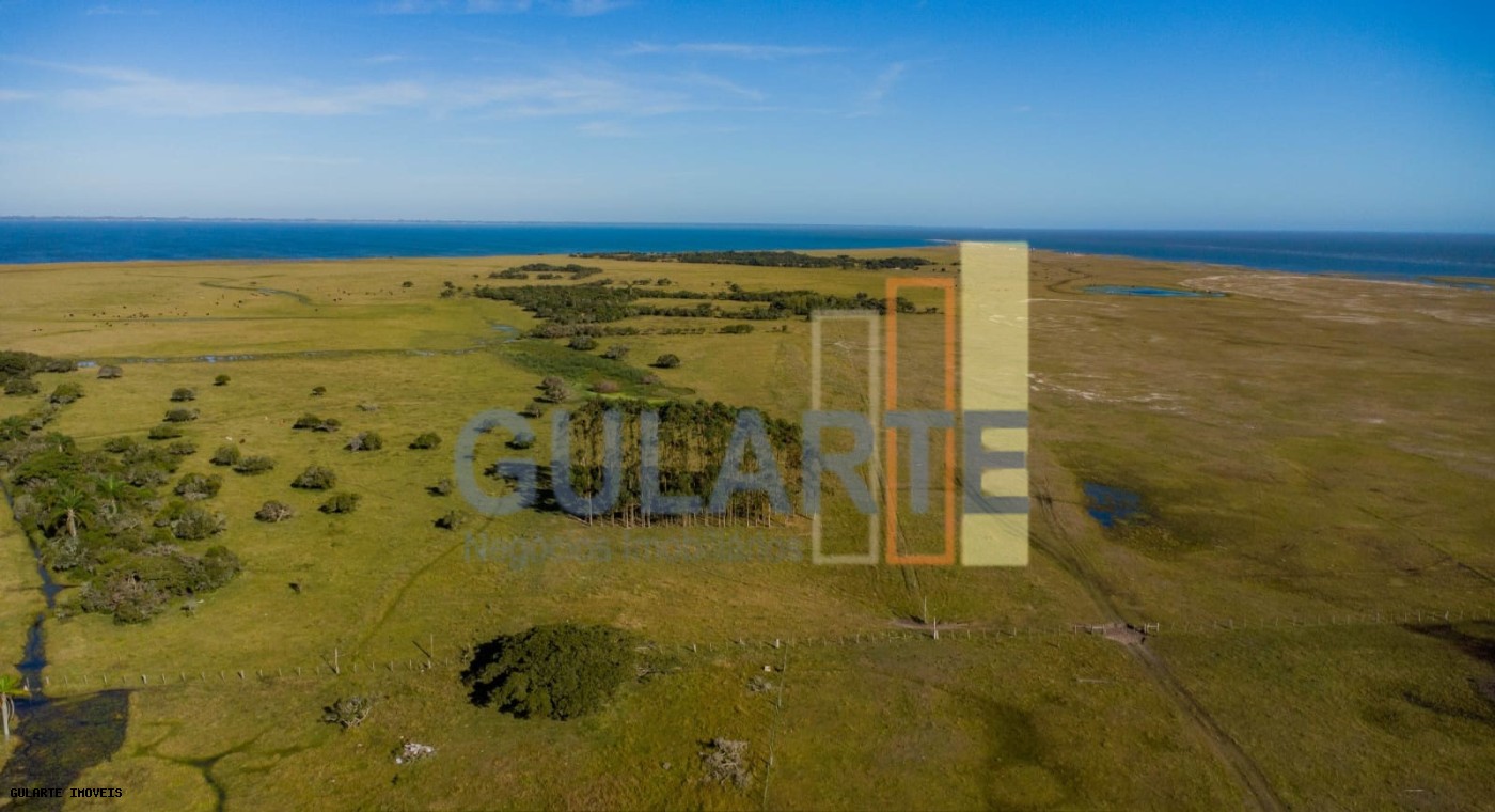 Fazenda, 1123 hectares - Foto 7