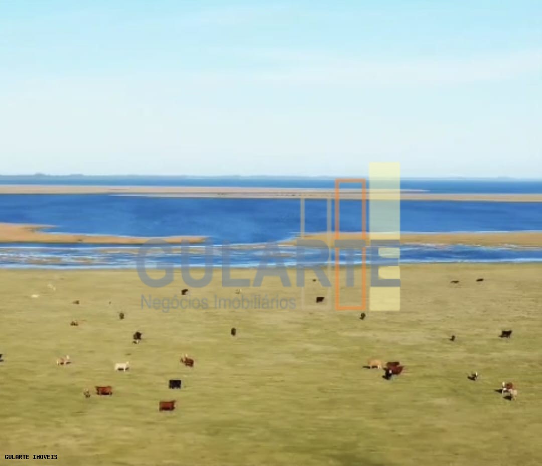 Fazenda, 1123 hectares - Foto 12