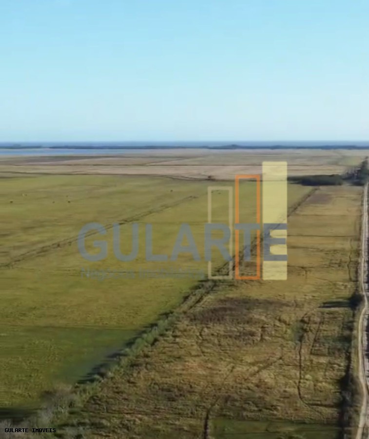 Fazenda, 1123 hectares - Foto 11