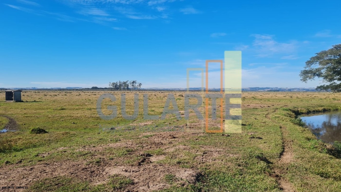 Terreno, 208 hectares - Foto 1