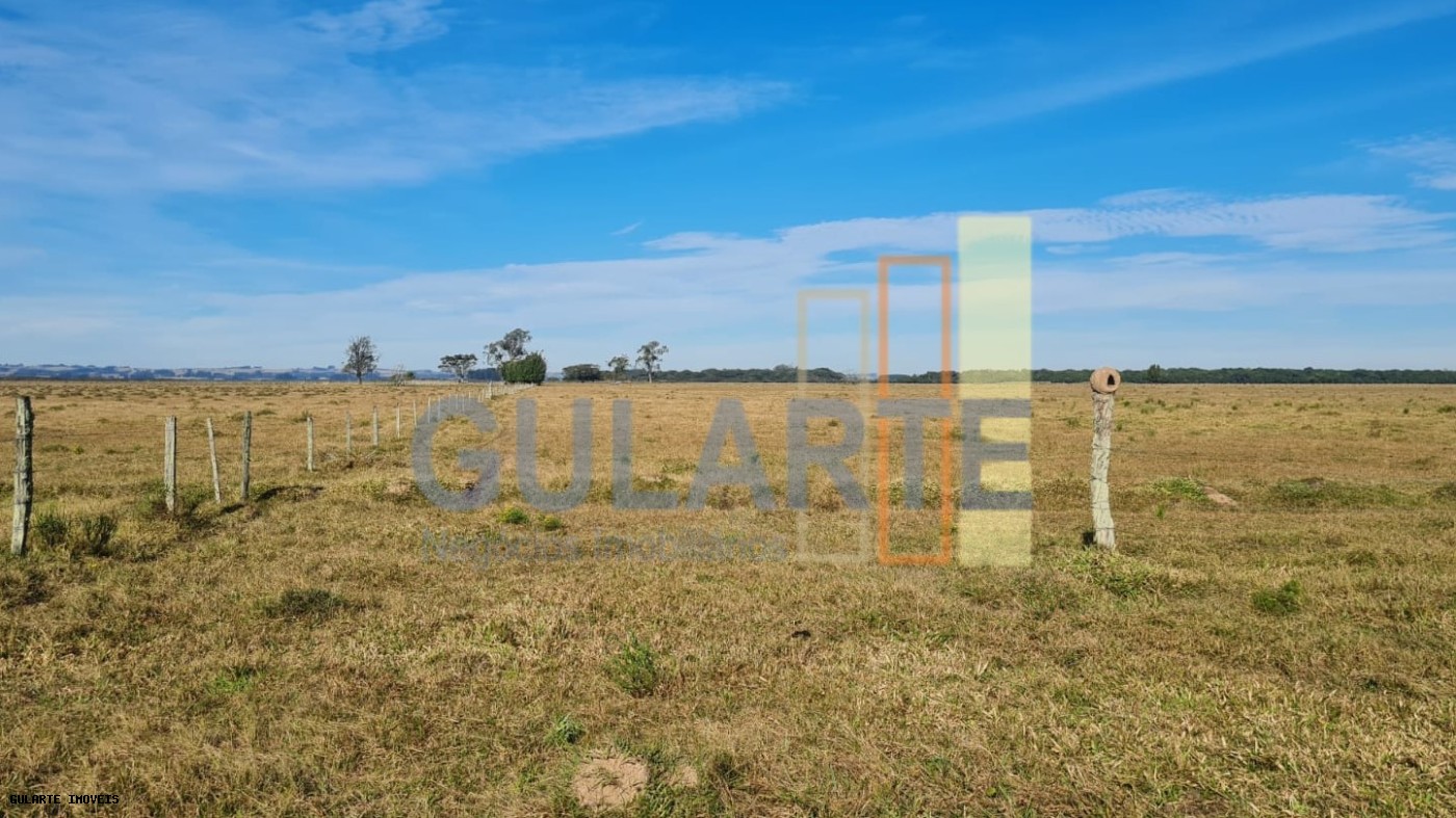 Terreno, 208 hectares - Foto 3