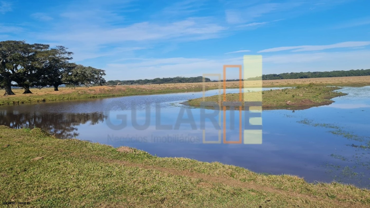 Terreno, 208 hectares - Foto 6