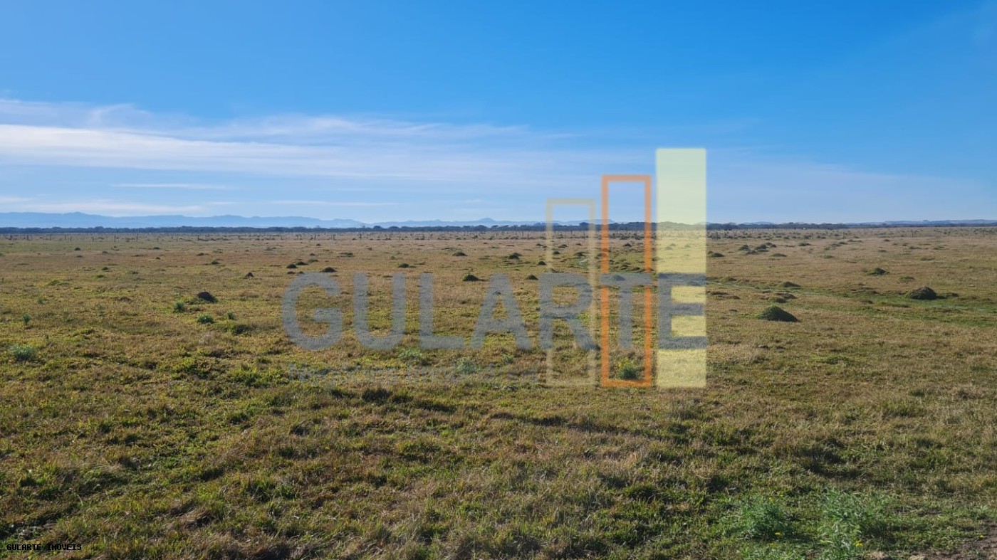 Terreno, 208 hectares - Foto 7