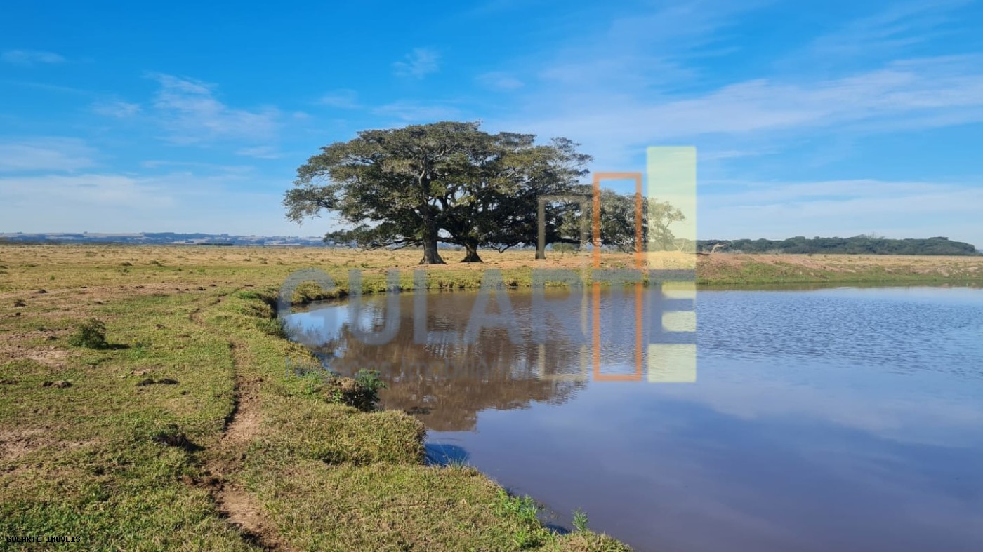 Terreno, 208 hectares - Foto 8