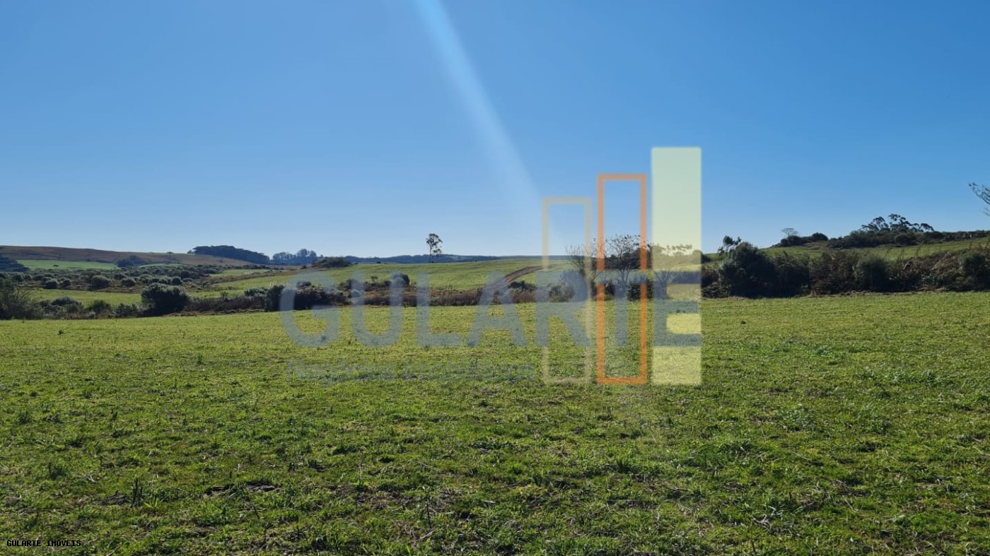 Fazenda, 244 hectares - Foto 1