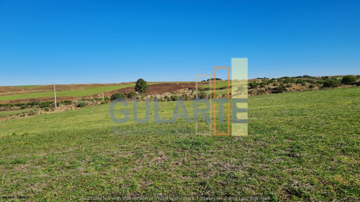Fazenda, 244 hectares - Foto 2