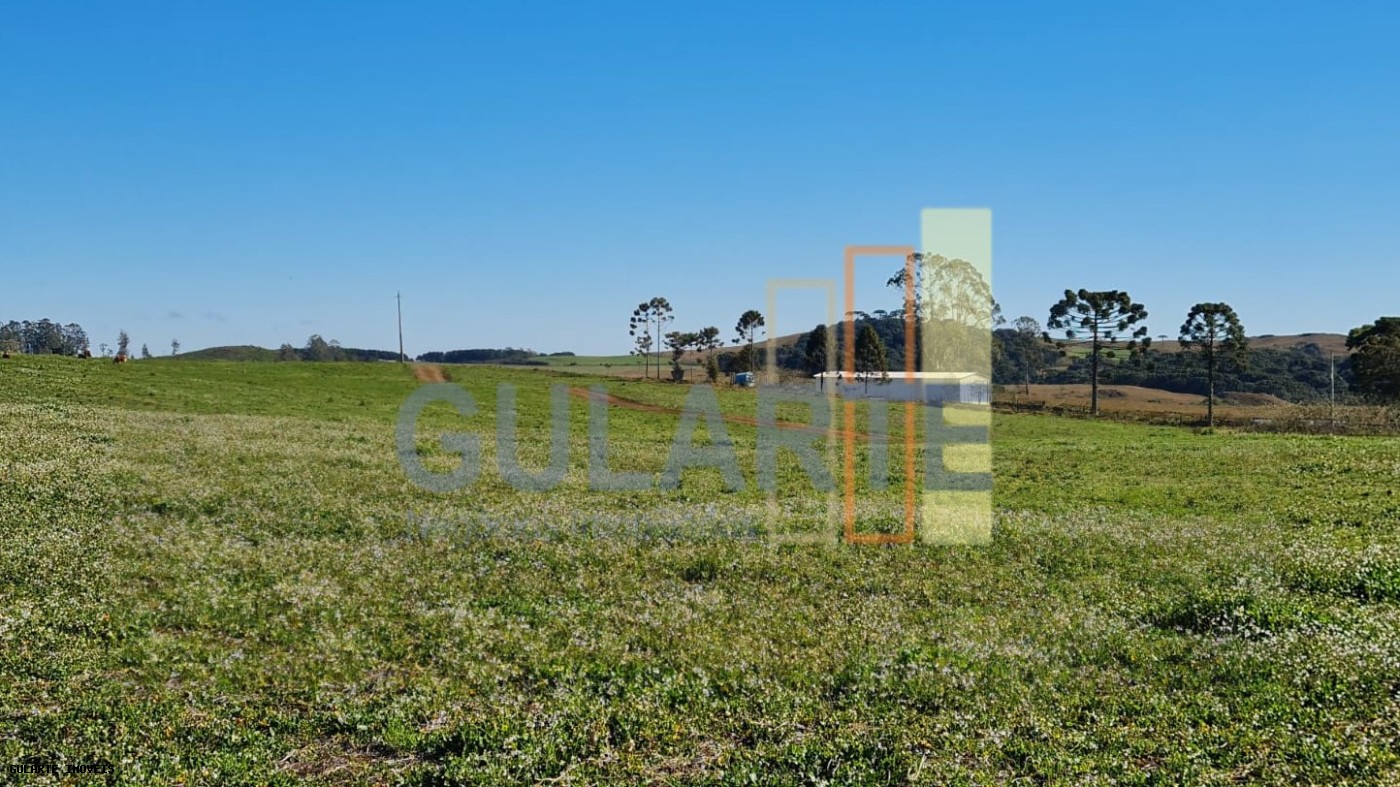 Fazenda, 244 hectares - Foto 3