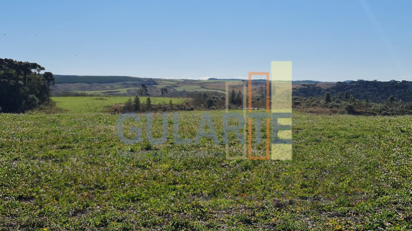 Fazenda, 244 hectares - Foto 4