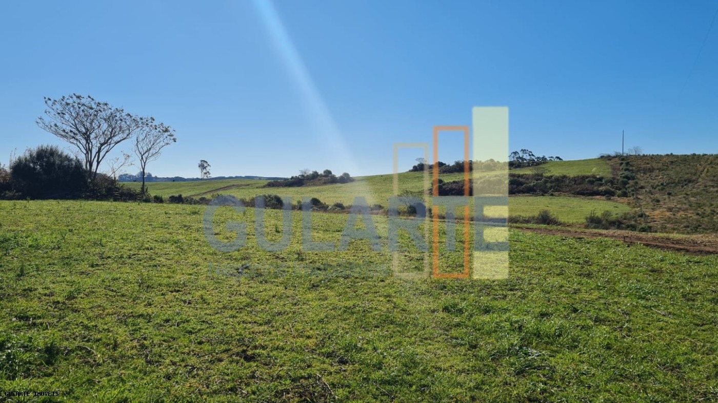 Fazenda, 244 hectares - Foto 7
