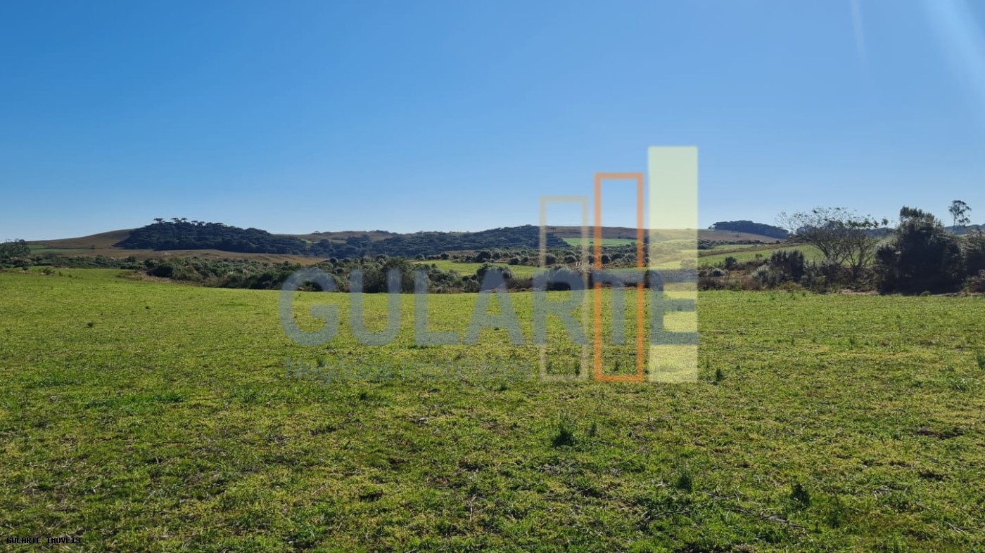 Fazenda, 244 hectares - Foto 8