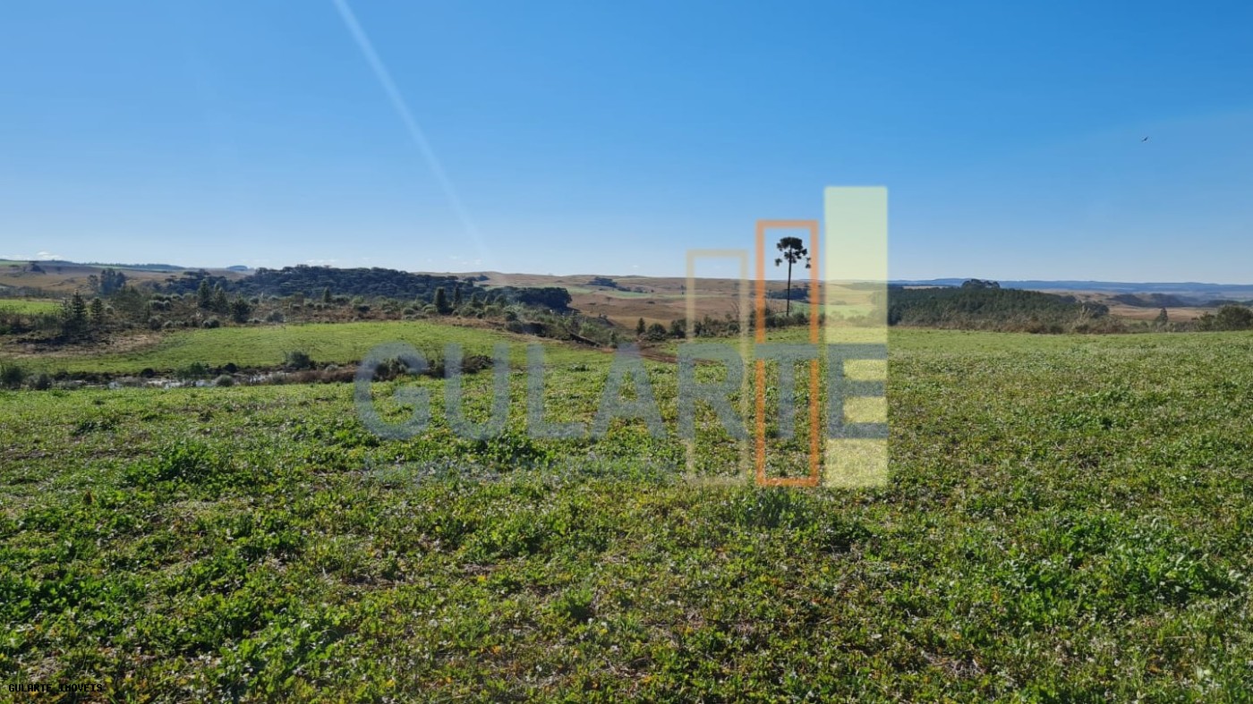 Fazenda, 244 hectares - Foto 6