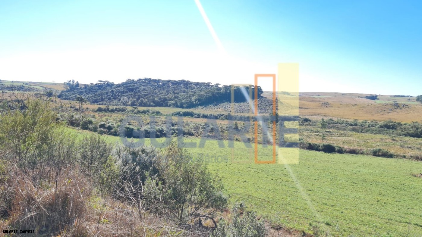 Fazenda, 244 hectares - Foto 9