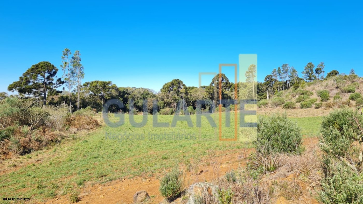 Fazenda, 244 hectares - Foto 10