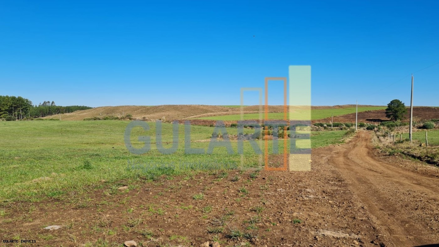 Fazenda, 244 hectares - Foto 11