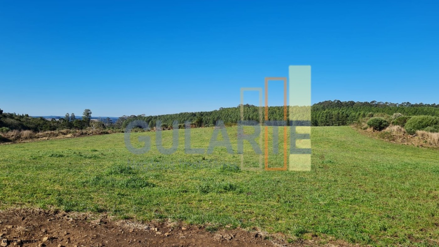 Fazenda, 244 hectares - Foto 12