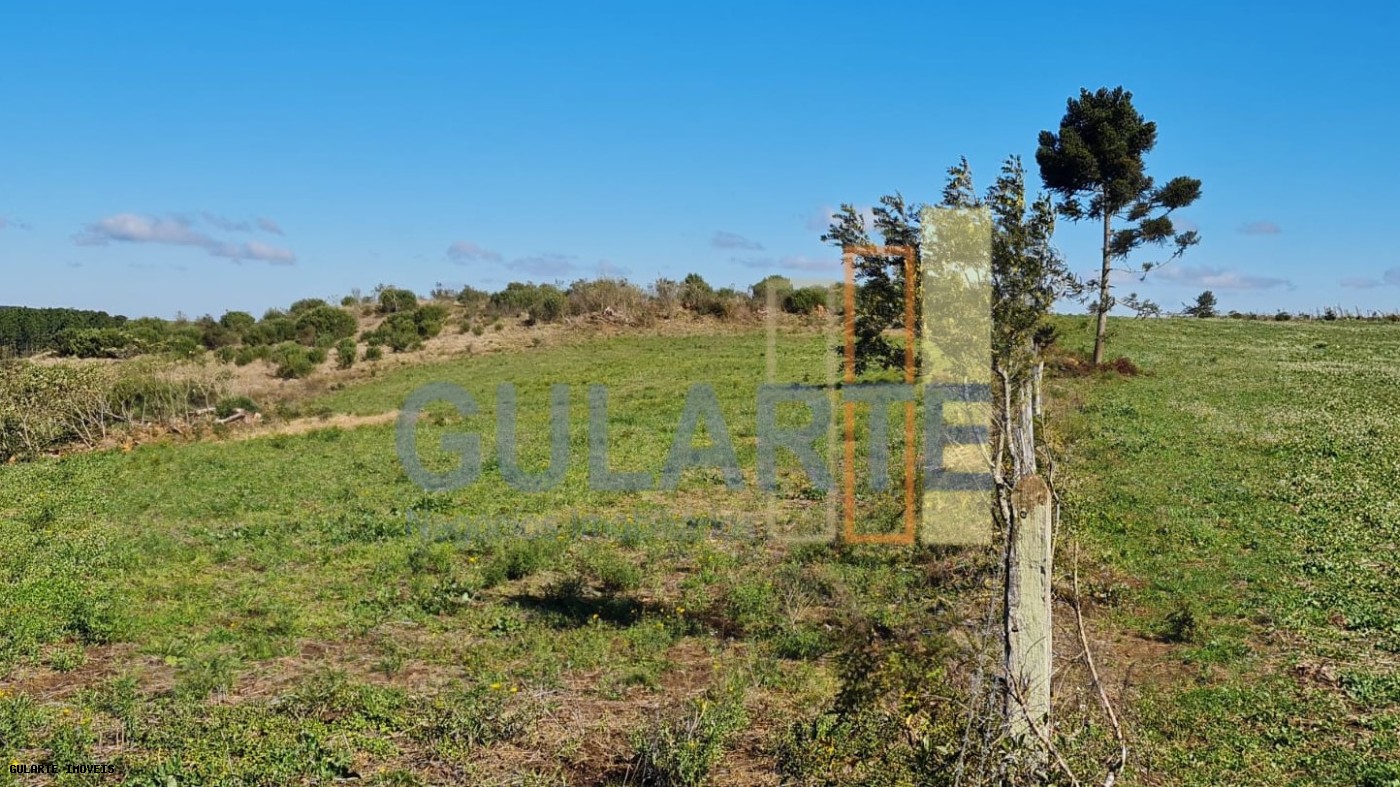 Fazenda, 244 hectares - Foto 14