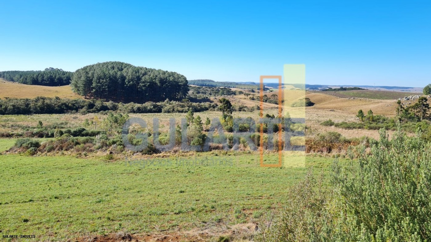 Fazenda, 244 hectares - Foto 13