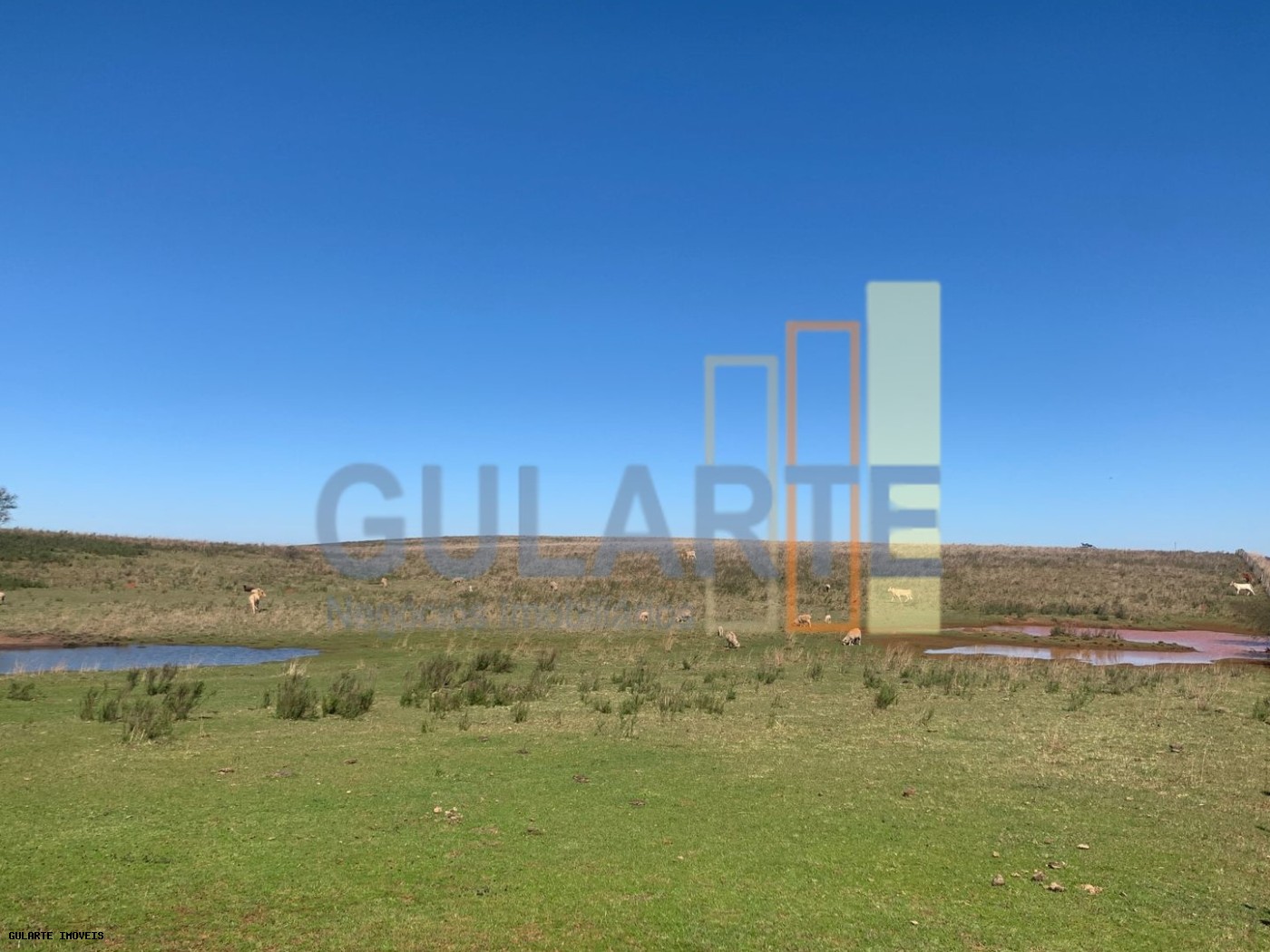 Fazenda, 137 hectares - Foto 1