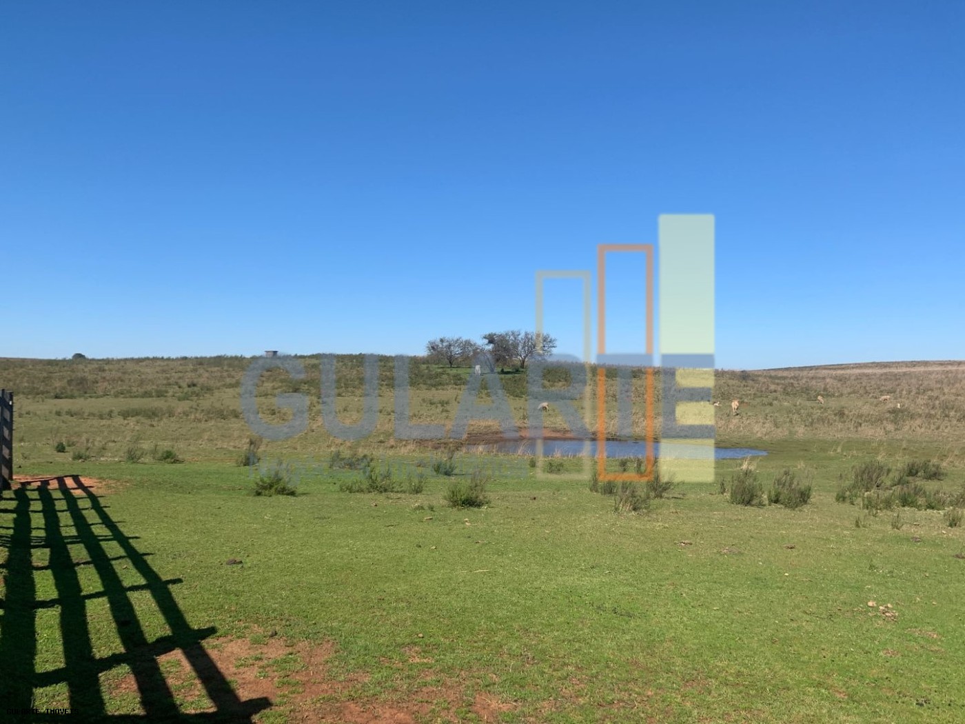 Fazenda, 137 hectares - Foto 4