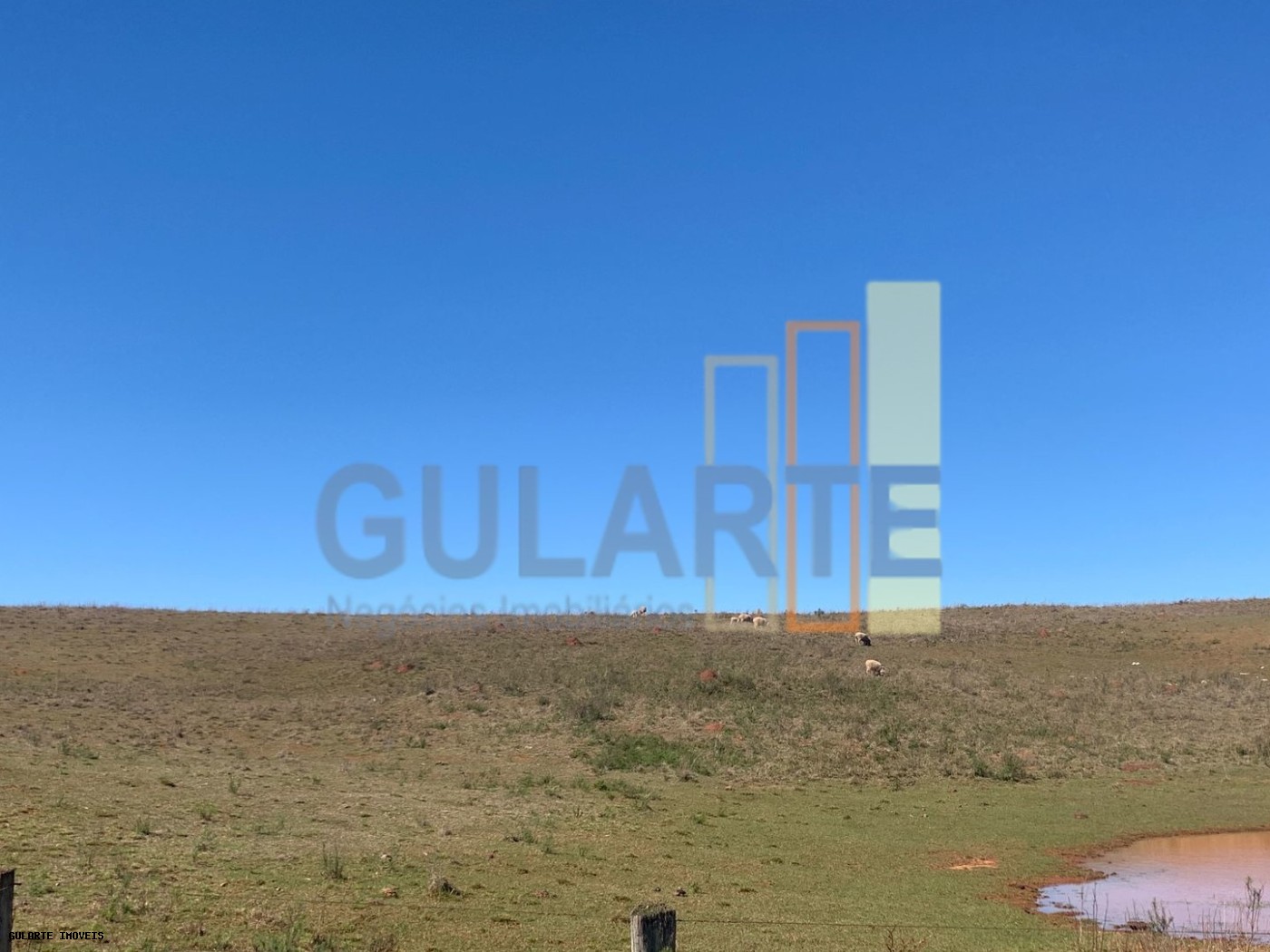 Fazenda, 137 hectares - Foto 6