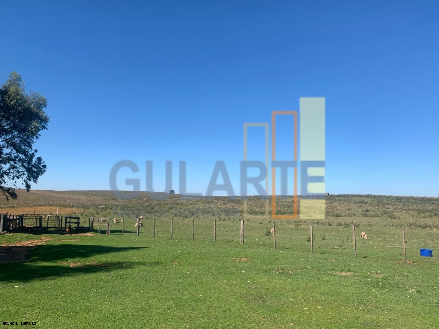 Fazenda, 137 hectares - Foto 7