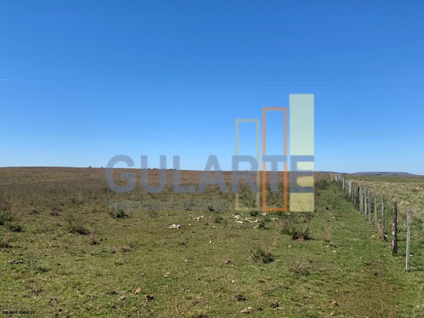 Fazenda, 137 hectares - Foto 10