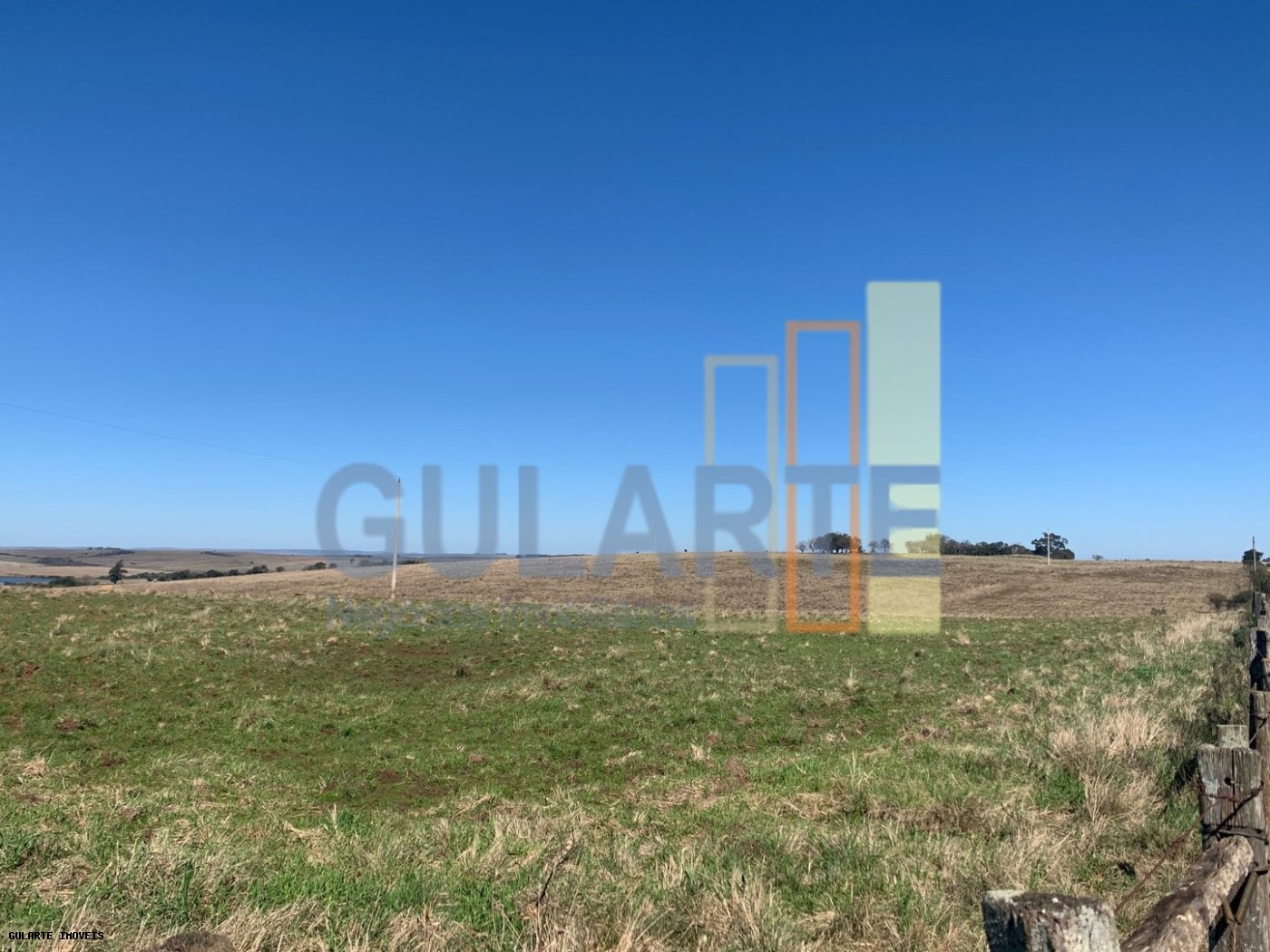 Fazenda, 137 hectares - Foto 9