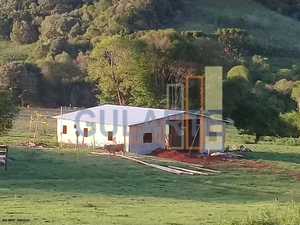 Sítio, 9 hectares - Foto 1