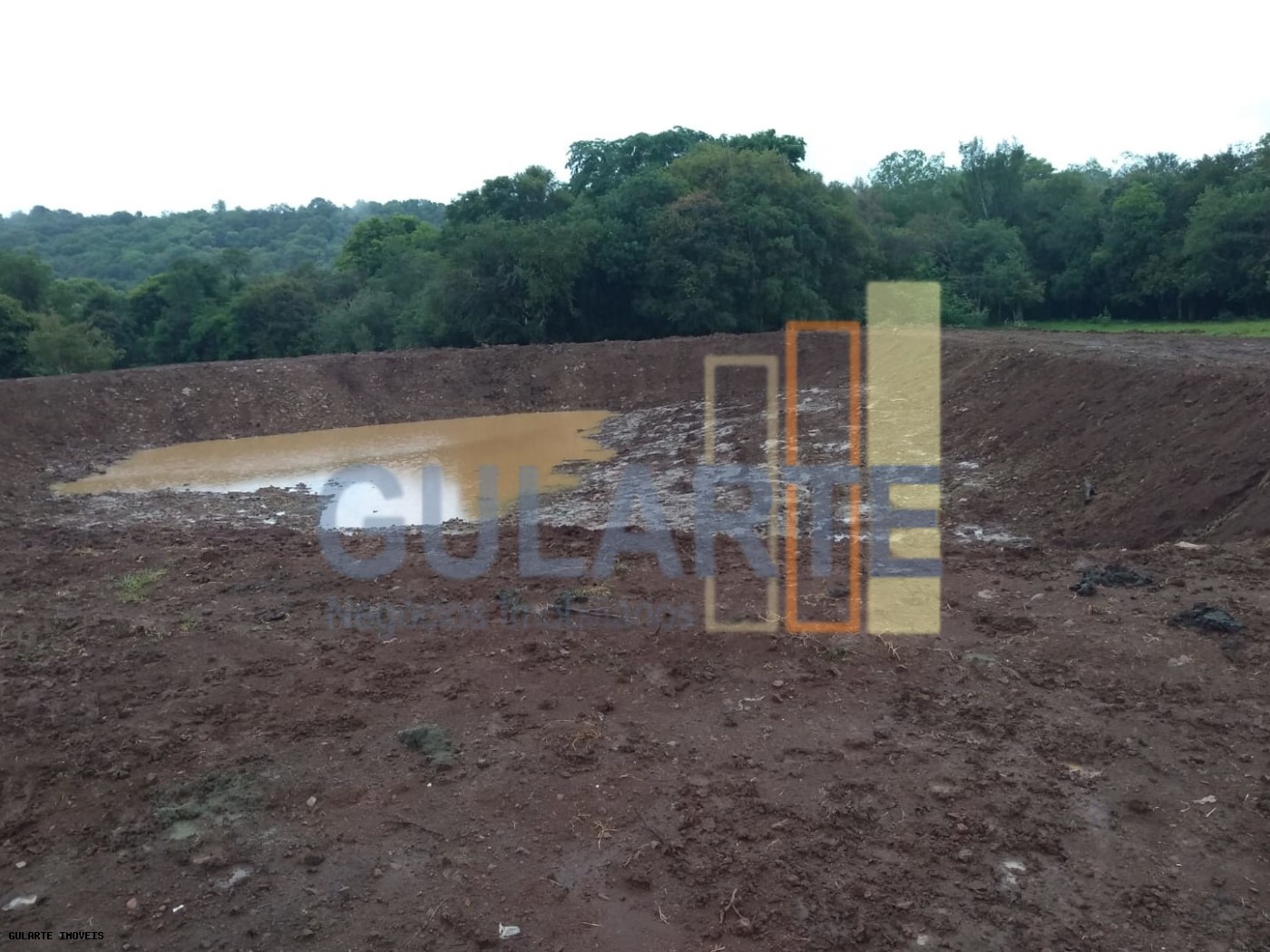 Sítio, 9 hectares - Foto 4