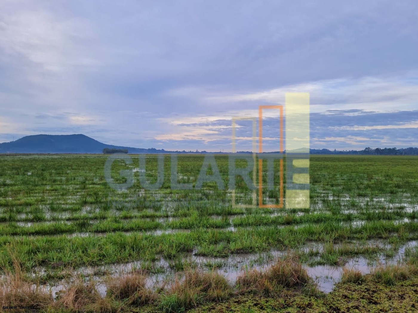 Chácara, 1419 hectares - Foto 2
