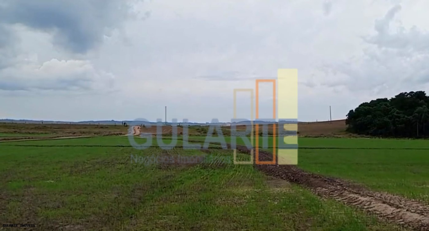 Chácara, 1419 hectares - Foto 11
