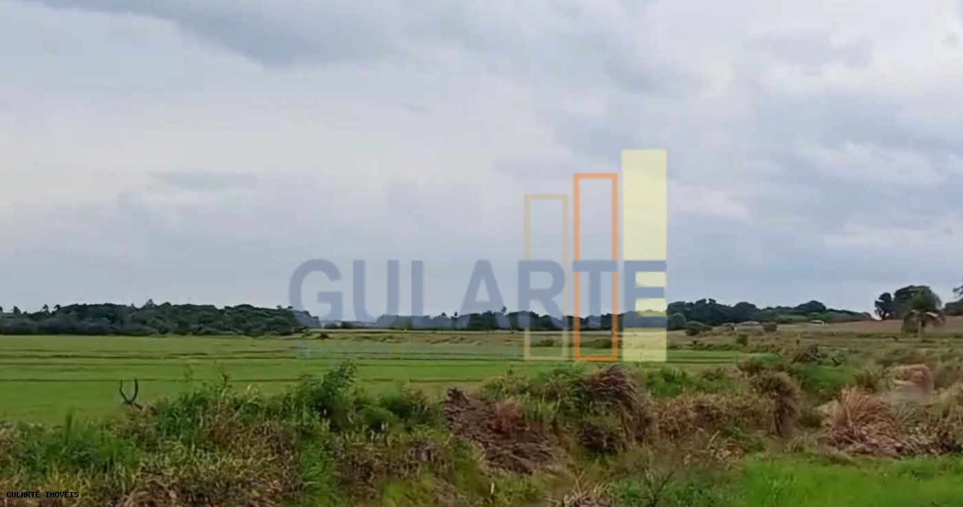 Chácara, 1419 hectares - Foto 14