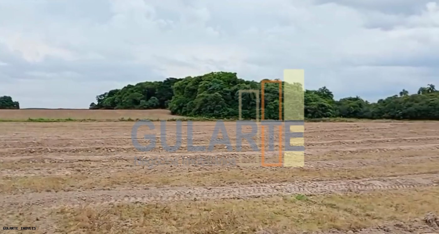 Chácara, 1419 hectares - Foto 16