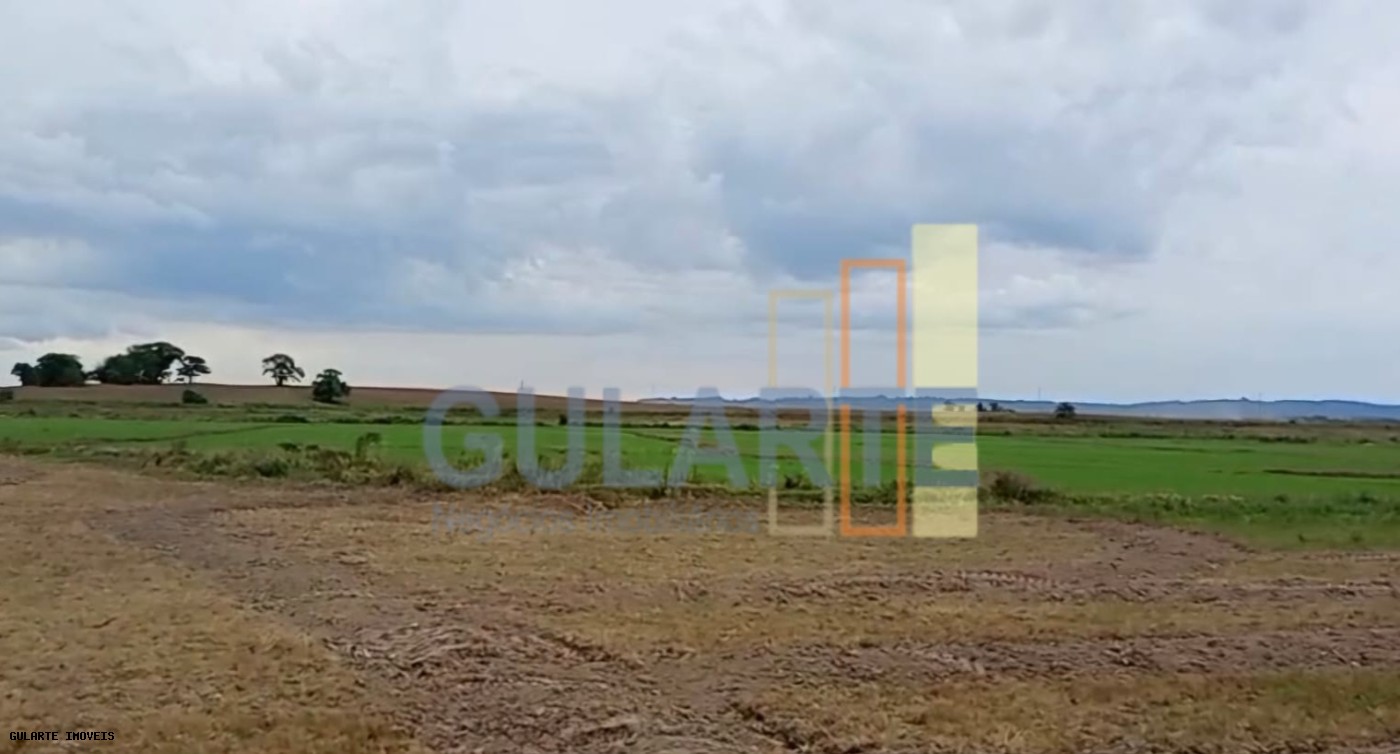 Chácara, 1419 hectares - Foto 18