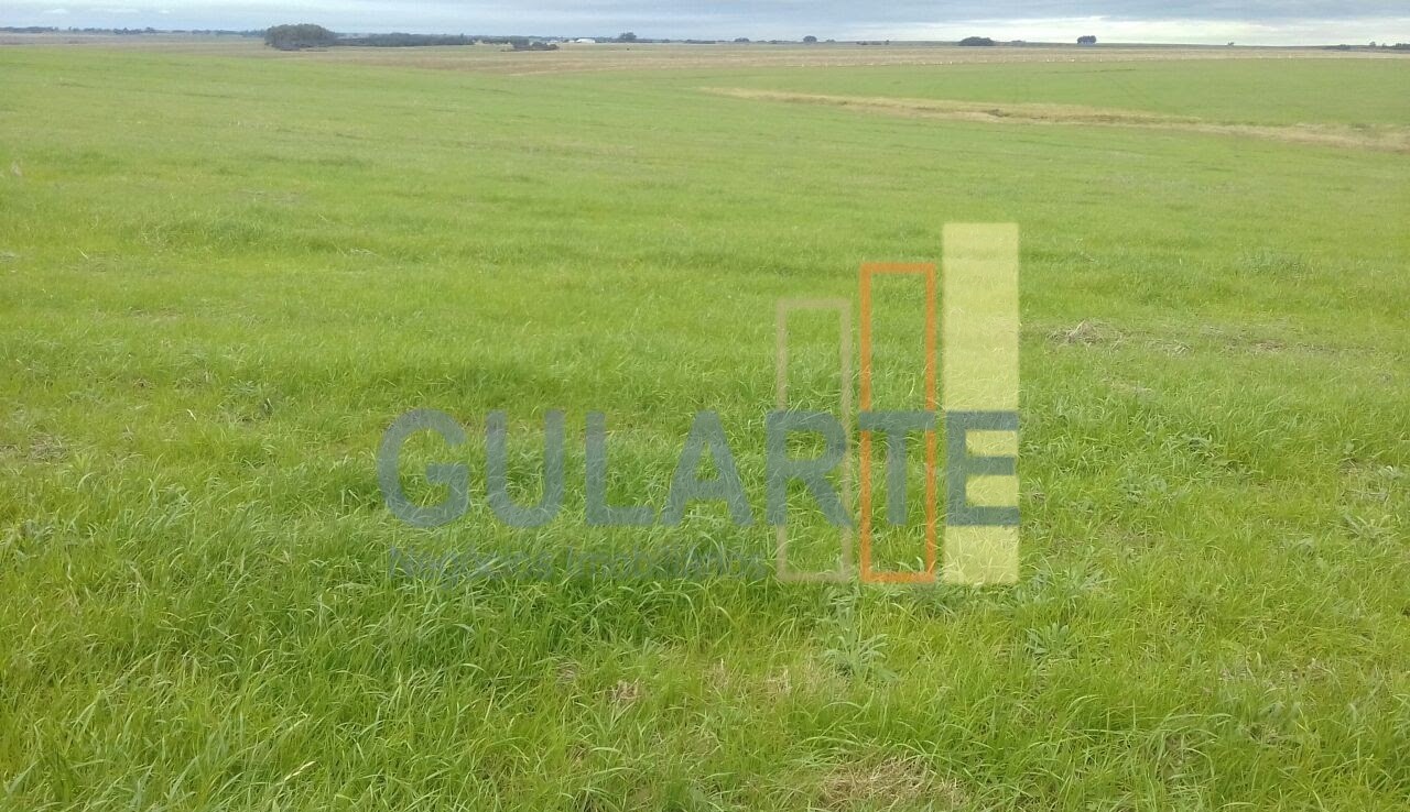 Chácara, 624 hectares - Foto 3