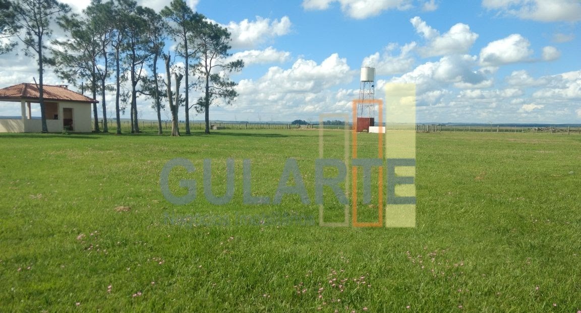 Chácara, 624 hectares - Foto 1