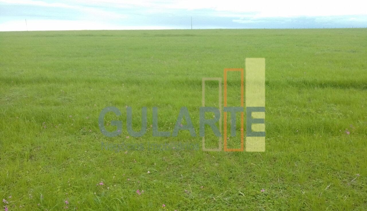 Chácara, 624 hectares - Foto 6