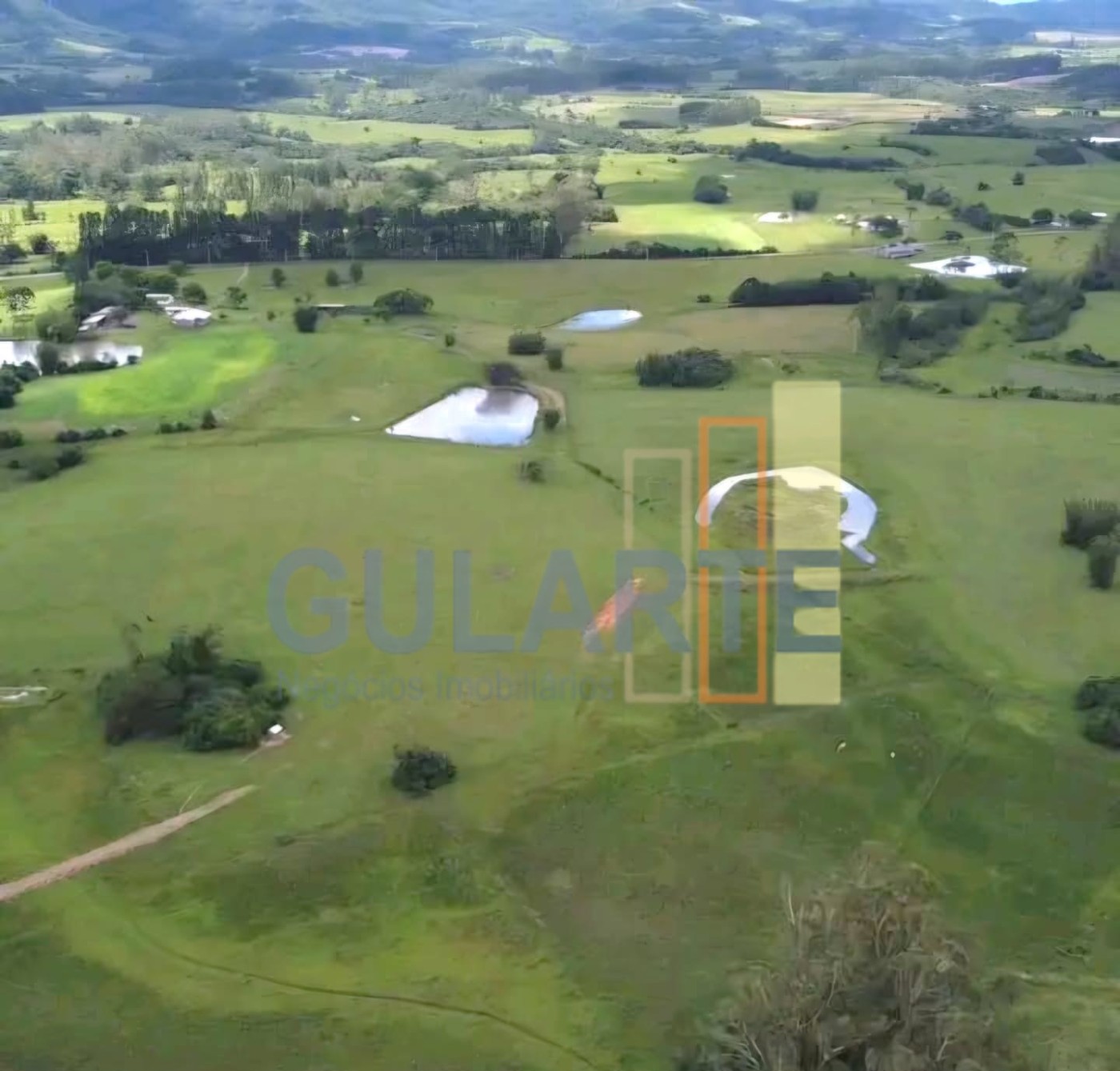 Chácara, 100 hectares - Foto 4