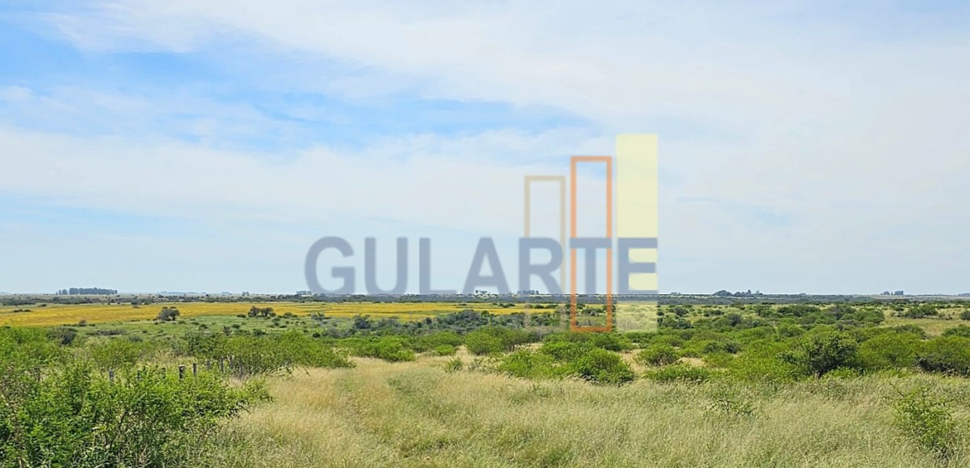 Chácara, 460 hectares - Foto 1