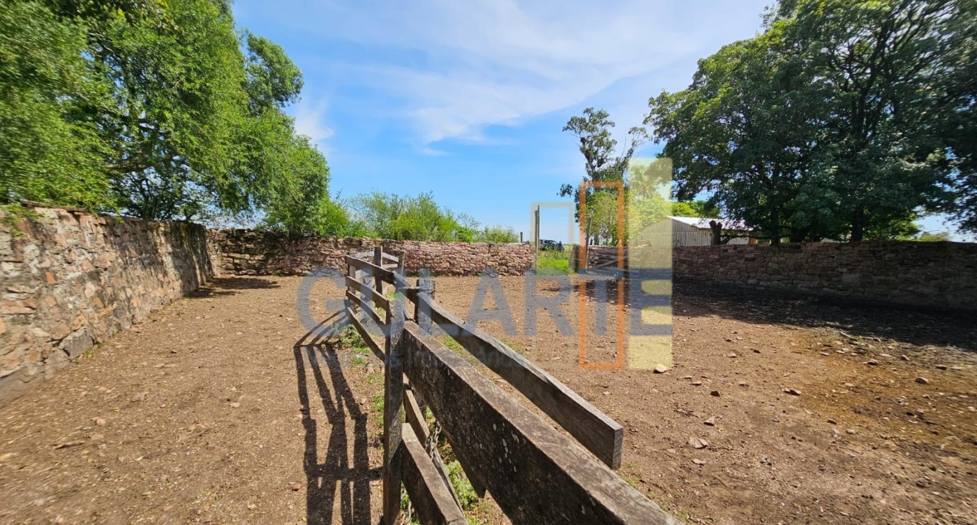 Chácara, 460 hectares - Foto 13