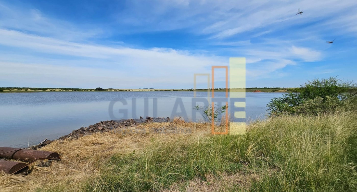 Chácara, 460 hectares - Foto 3