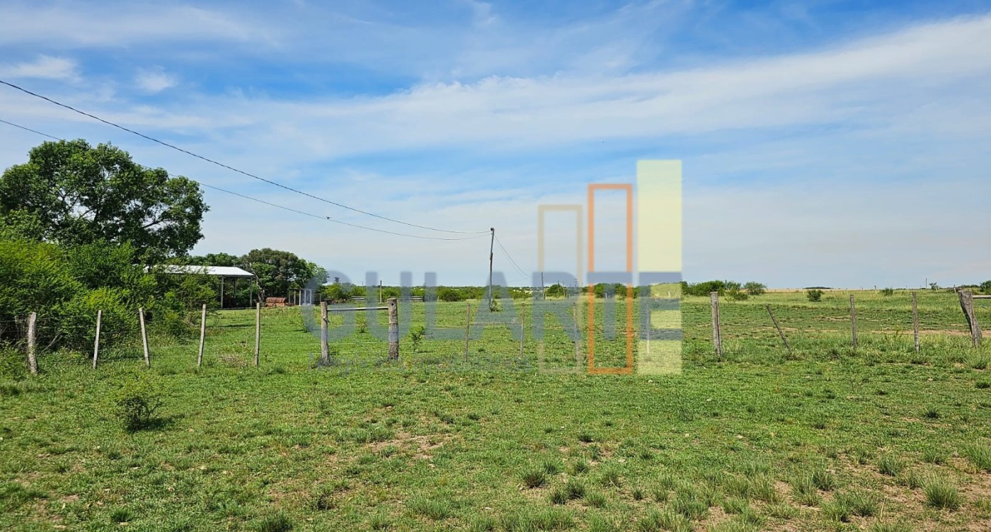 Chácara, 460 hectares - Foto 4