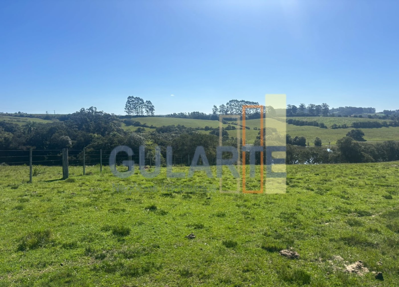 Chácara, 90 hectares - Foto 3