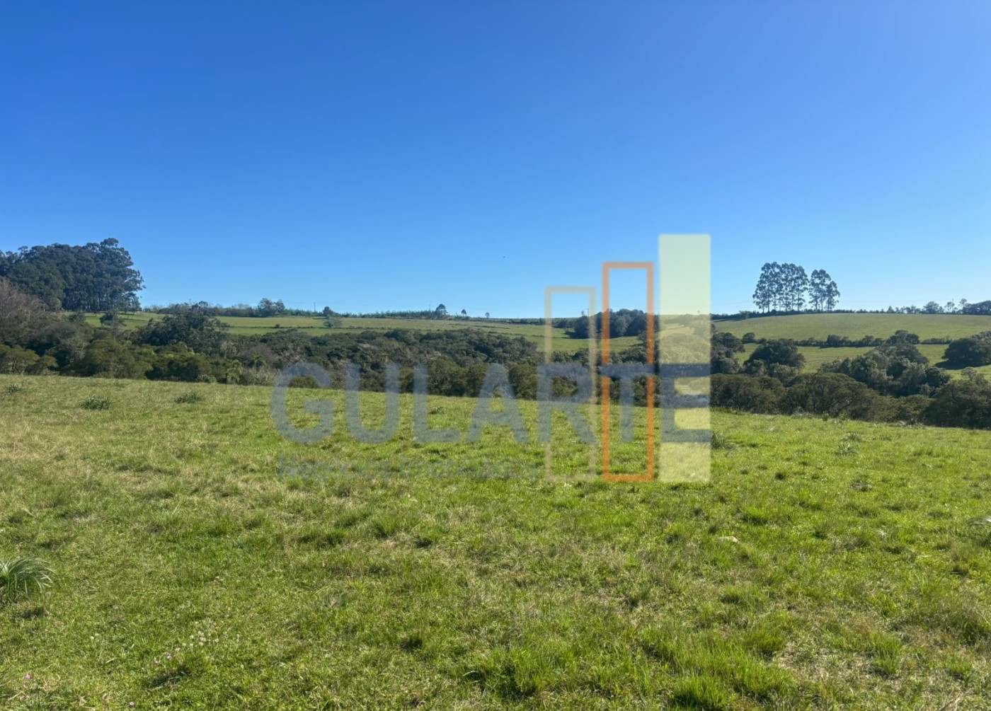Chácara, 90 hectares - Foto 4