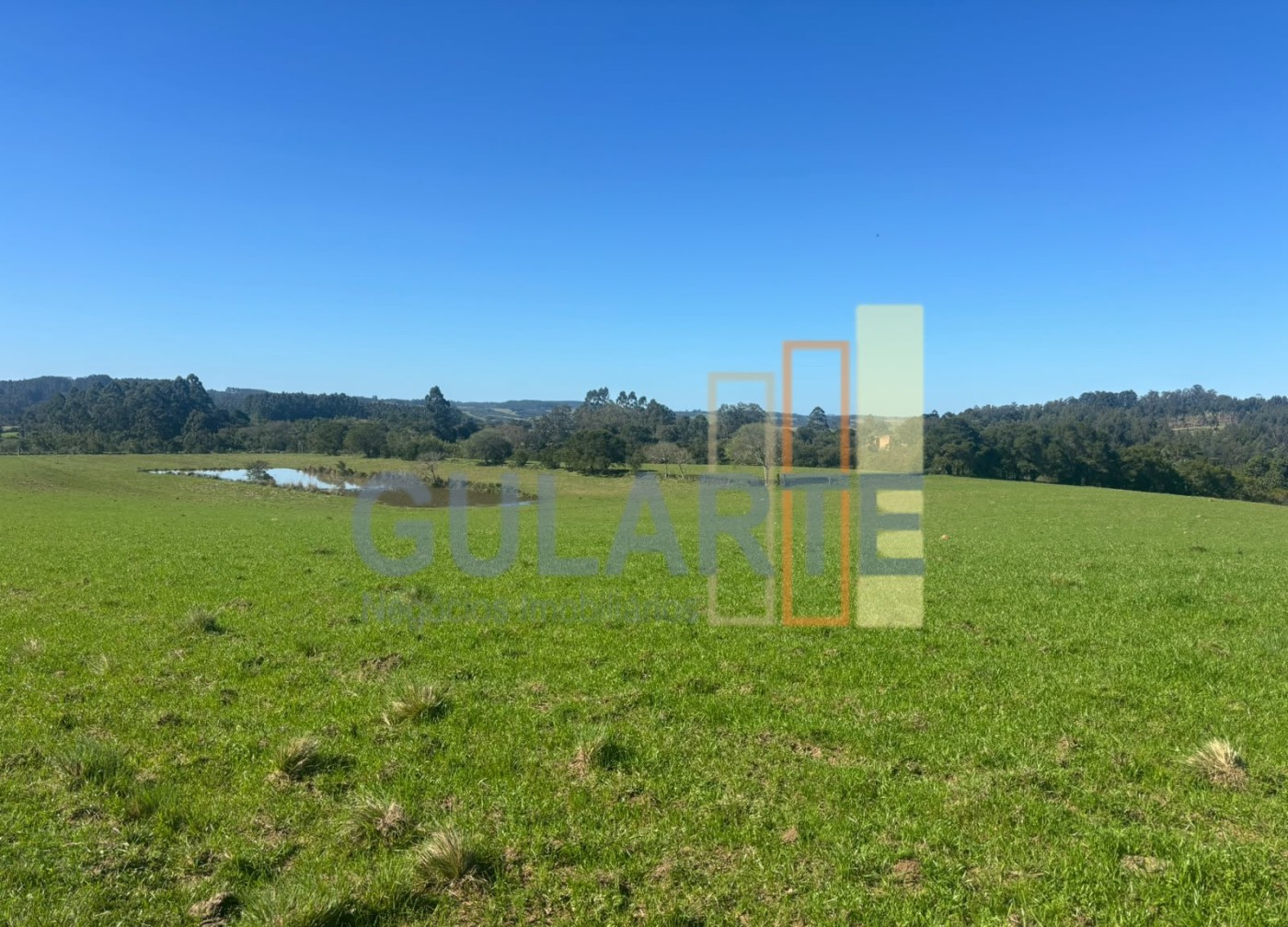 Chácara, 90 hectares - Foto 10