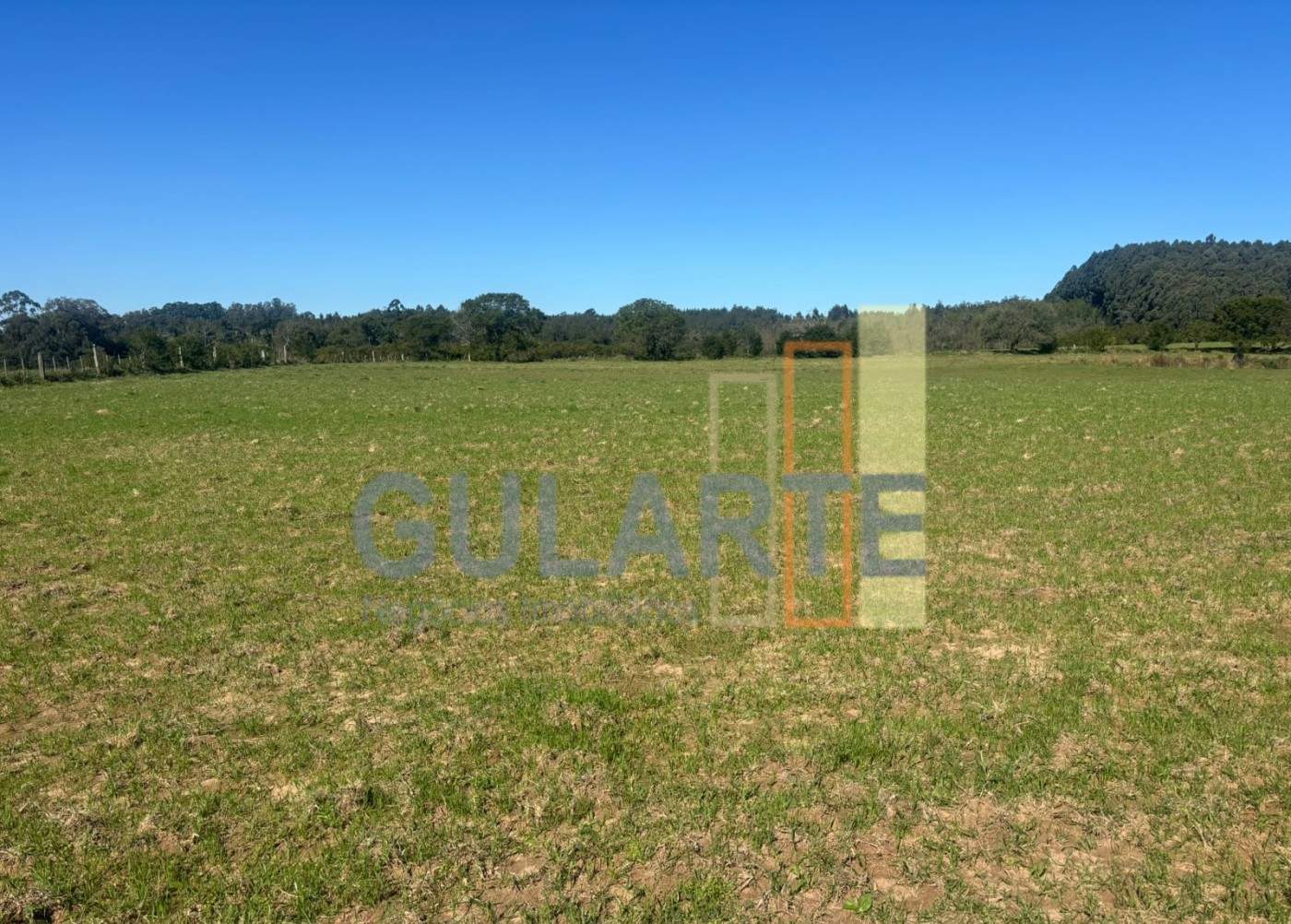 Chácara, 90 hectares - Foto 13