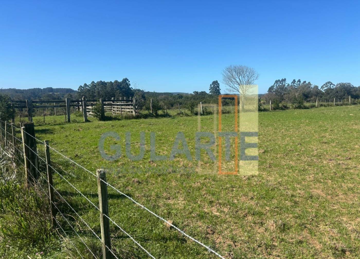 Chácara, 90 hectares - Foto 14