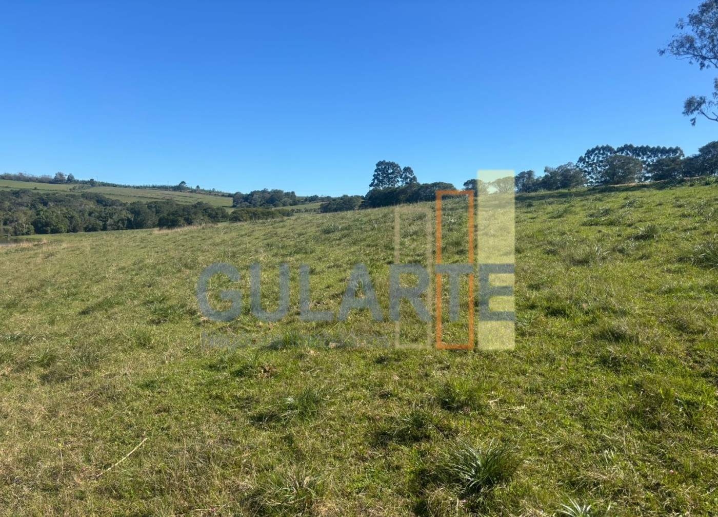 Chácara, 90 hectares - Foto 11