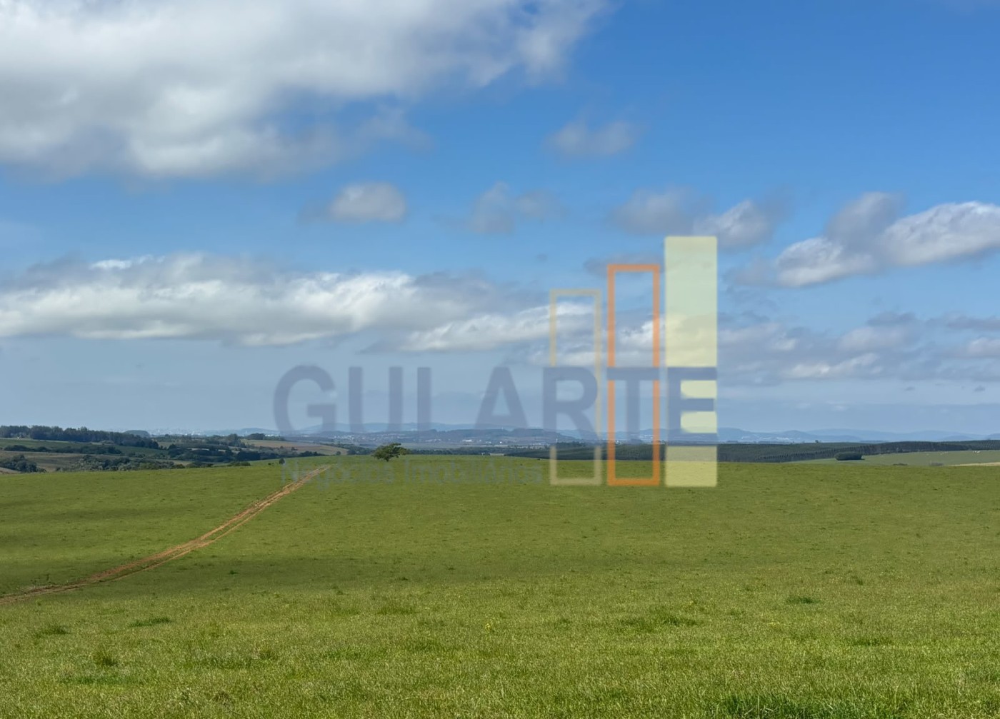 Chácara, 141 hectares - Foto 2