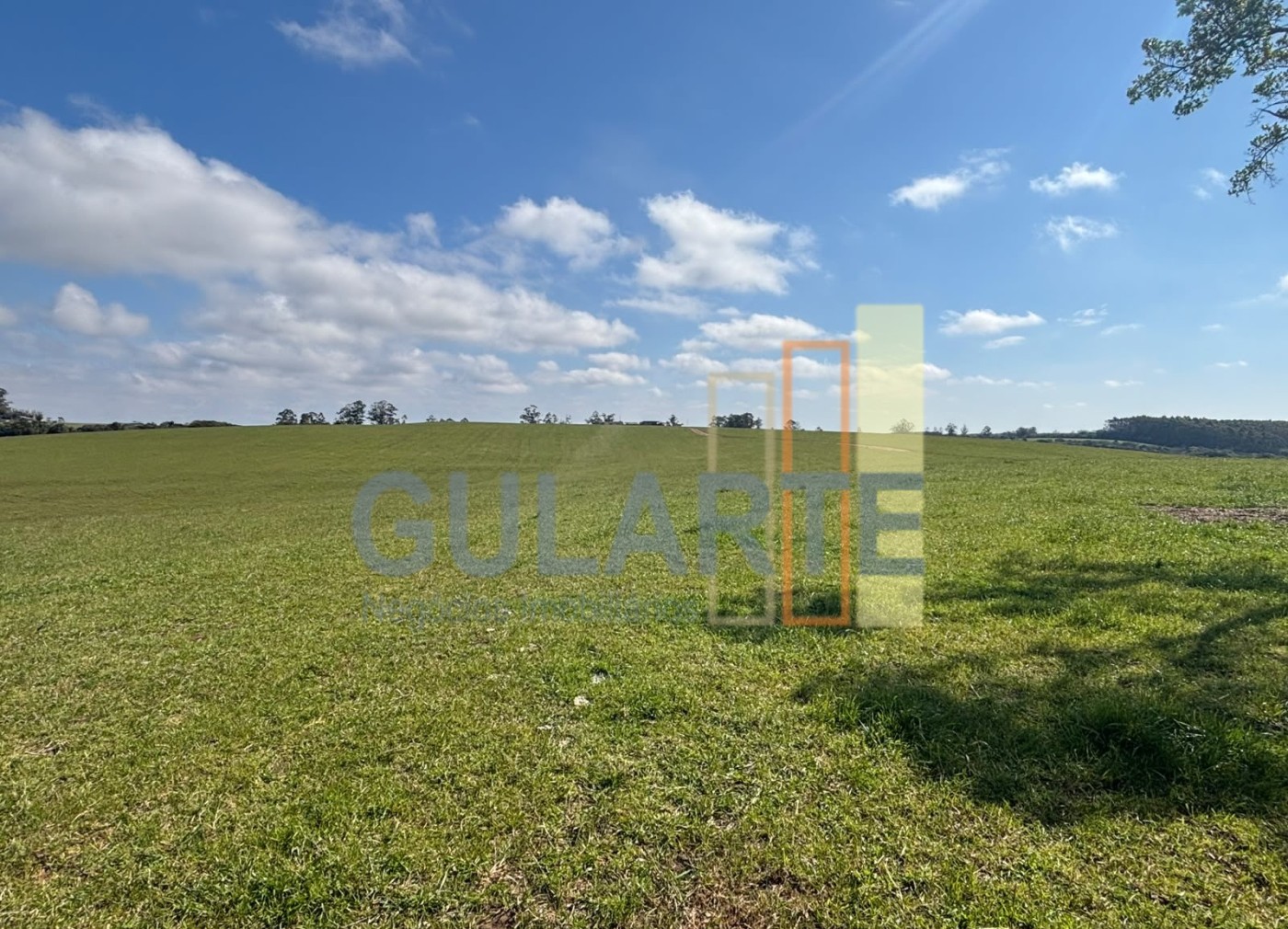 Chácara, 141 hectares - Foto 1
